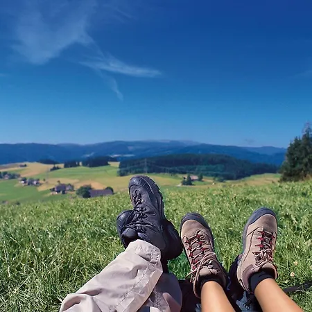 Hotel-restaurant Zum Ochsen Ξενοδοχείο 3*