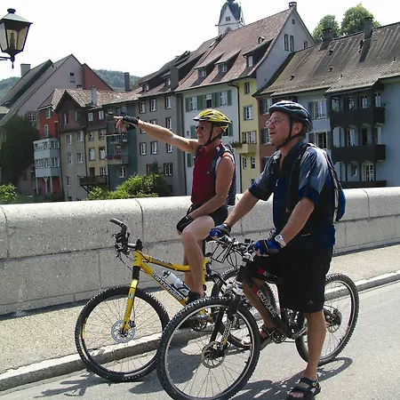 Hotel-restaurant Zum Ochsen Hotel