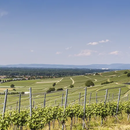 Hotel Hotel-restaurant Zum Ochsen