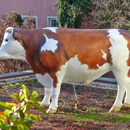 祖姆奥赫森餐厅-酒店 酒店