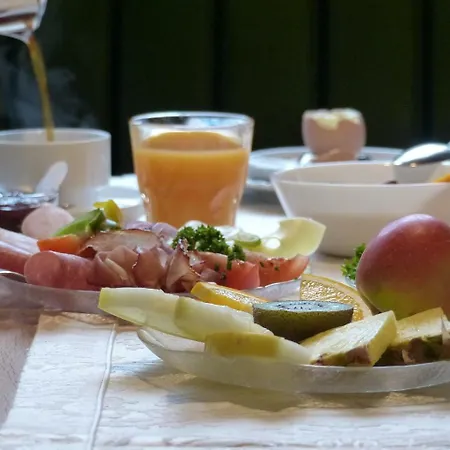 Hotel-restaurant Zum Ochsen 3* Schallstadt