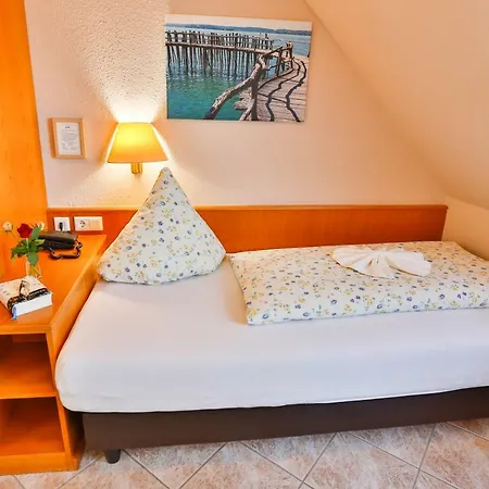 Hotel Hotel-restaurant Zum Ochsen