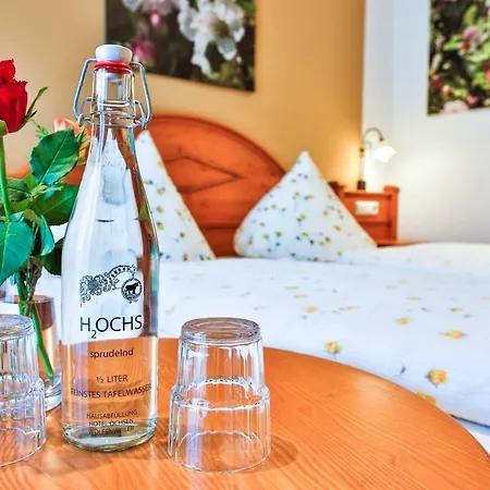 Hotel-restaurant Zum Ochsen Hotel 3*