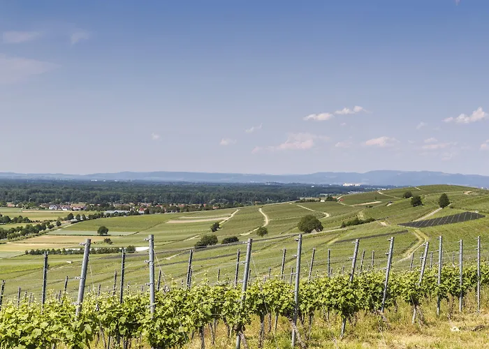 ホテル ホテルレストラン ツム オクセン