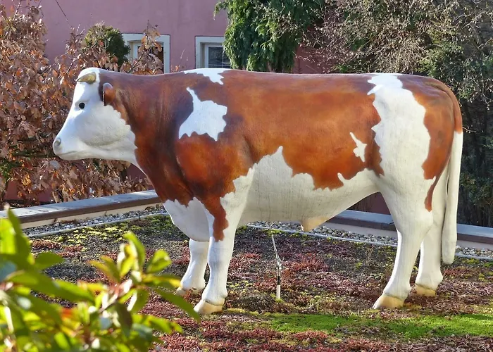 ホテルレストラン ツム オクセン ホテル