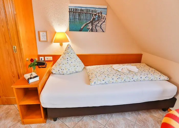 ホテル ホテルレストラン ツム オクセン