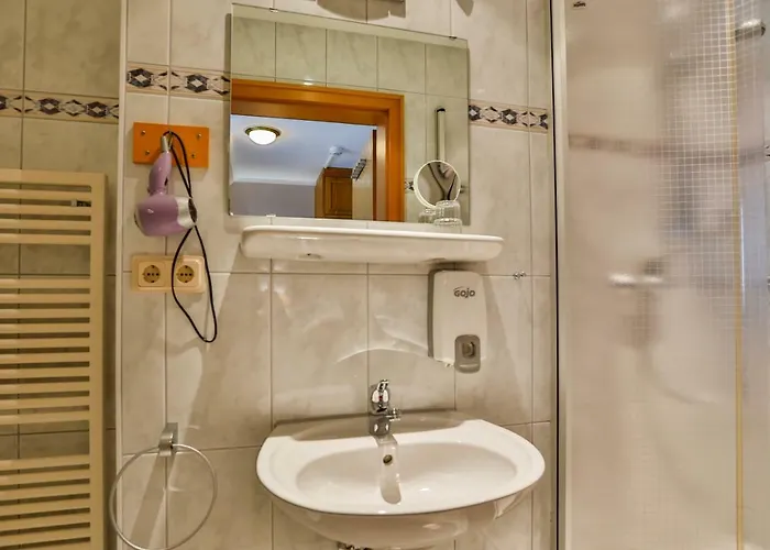 ホテル ホテルレストラン ツム オクセン 3*