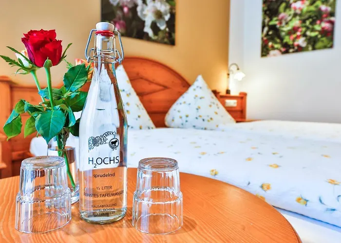 ホテルレストラン ツム オクセン ホテル 3*